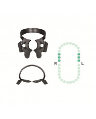 Crampon Molaire du Haut