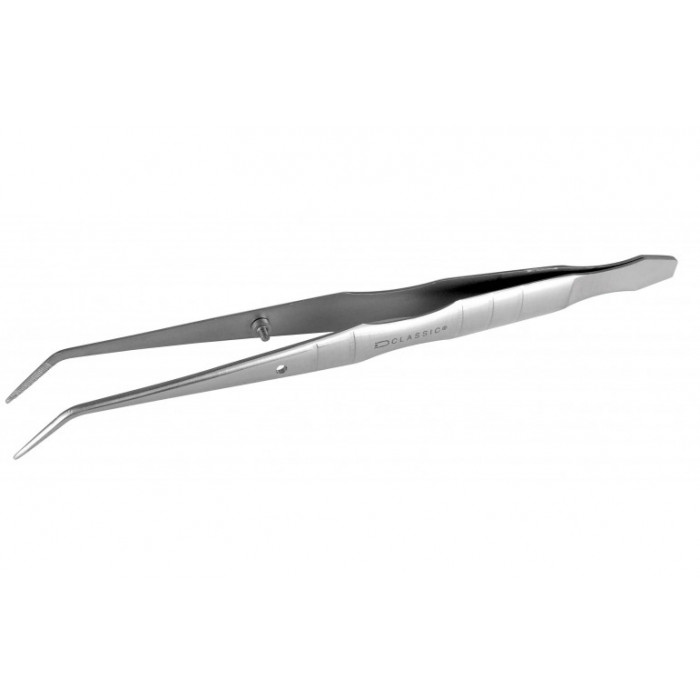 Précelle Collège - Coudé