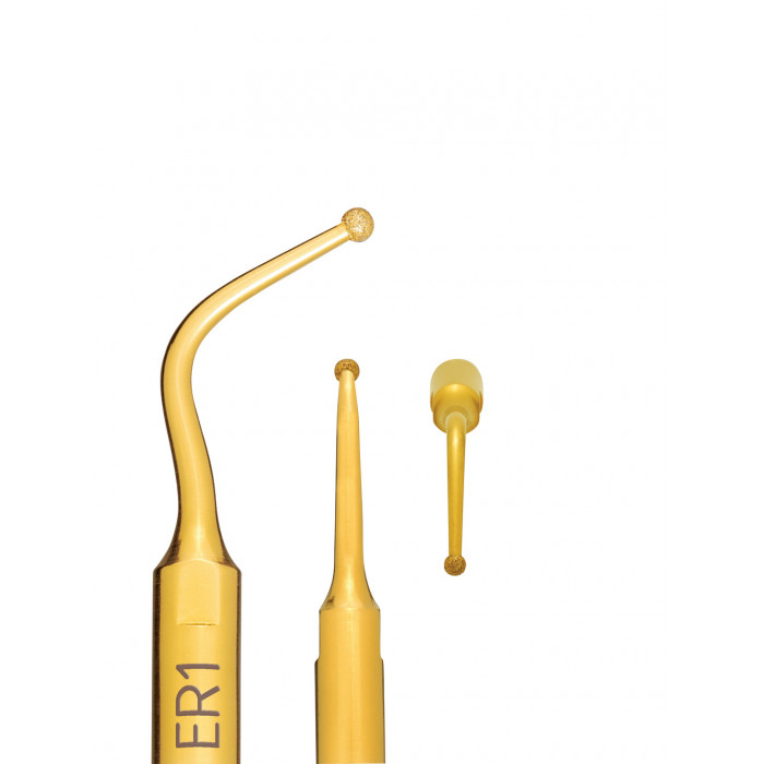 Insert à Ultrasons Endo Révision