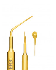 Insert à Ultrasons Endo Révision