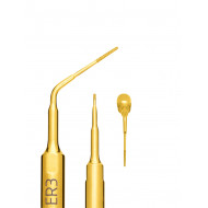 Insert à Ultrasons Endo Révision