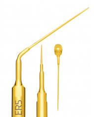 Insert à Ultrasons Endo Révision