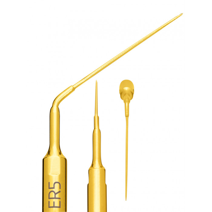 Insert à Ultrasons Endo Révision