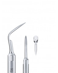 Insert à Ultrasons Scaling