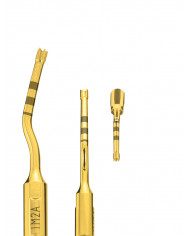 Insert PiezoSurgery Préparation Implantaire