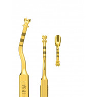 Insert PiezoSurgery Préparation Implantaire