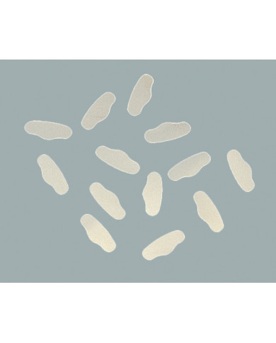 Sachet de 12 Matrices Ivory Sachet de 12 Matrices Ivory