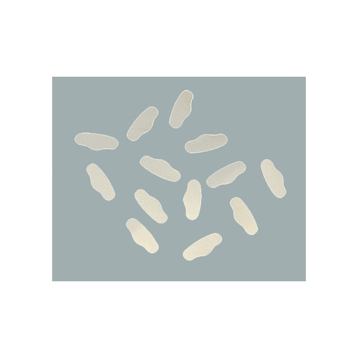 Sachet de 12 Matrices Ivory