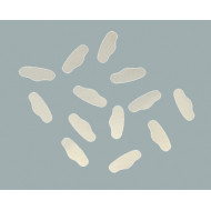 Sachet de 12 Matrices Ivory