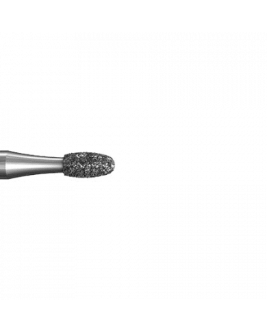 ZR379