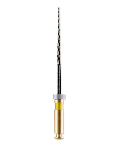 HyFlex CM HyFlex CM