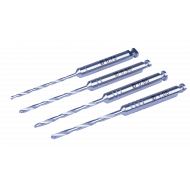 Forets Pilote - Assortiment