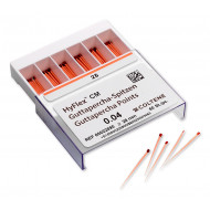 HyFlex CM Guttapercha Points