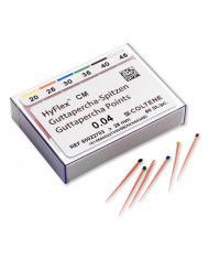 HyFlex CM Pointes de Gutta Percha