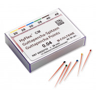 HyFlex CM Guttapercha Points
