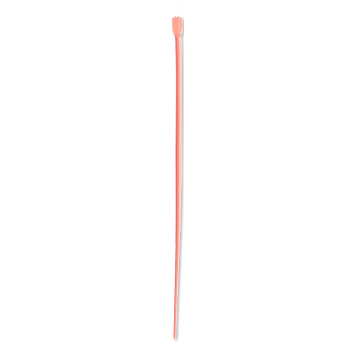 Pointes de Gutta Percha Pink Classic