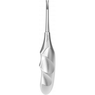 Elévateur de Racines Bein Anatomique