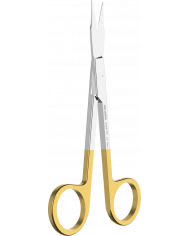 Ciseaux à Gencives Goldman Fox Courbé N°1TC