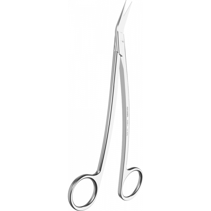 Ciseaux à Gencives Dean Courbé