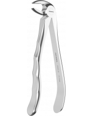 Davier - Manche Anatomique