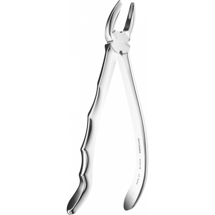 Davier - Manche Anatomique