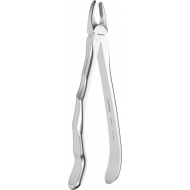 Davier - Manche Anatomique