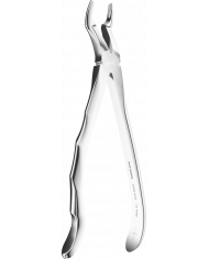 Davier - Manche Anatomique