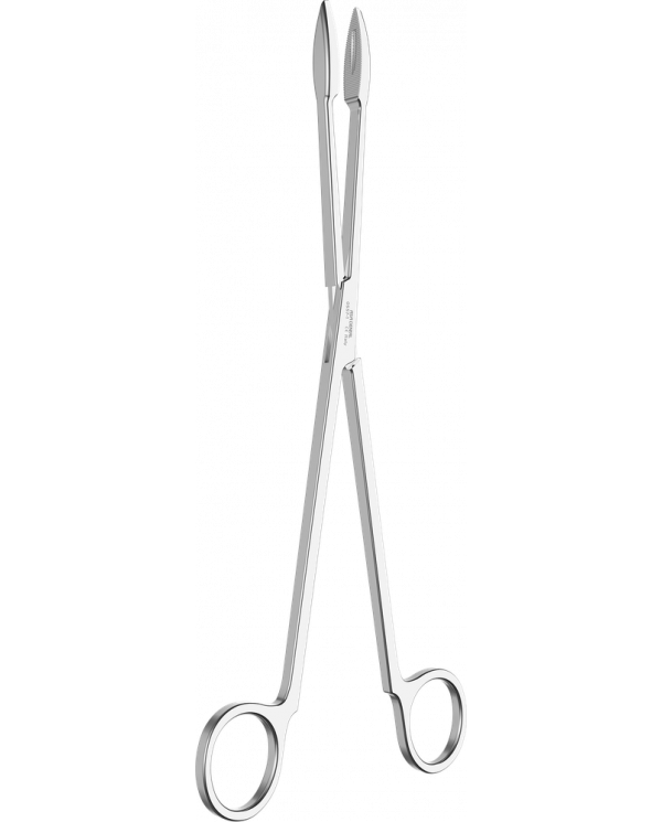 Pince à Pansements Gross Maier