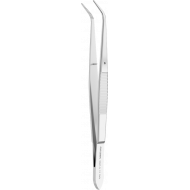 Prince pour Coton Perry