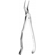 Davier - Manche Anatomique