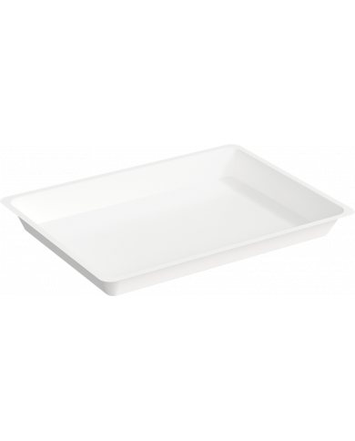 Plateaux Jetables Non Compartimentés Plateaux Jetables Non Compartimentés