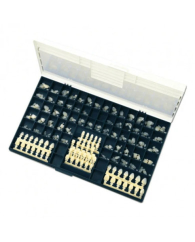 COURONNES PROVISOIRES EN POLYCARBONATE - DIRECTA DENTAL - COFFRET - KIT DE 180 COURONNES PROVISOIRES EN POLYCARBONATE - DIRECTA DENTAL - COFFRET - KIT DE 180