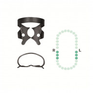 Crampon Molaire du Bas