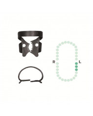 Crampon Molaire du Bas