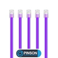 Pompes à Salive - PINSON