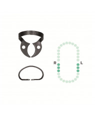 Crampon Molaire du Bas