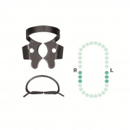 Crampon Molaire du Bas